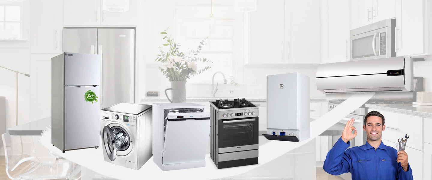 Sapanca Electrolux Servisi